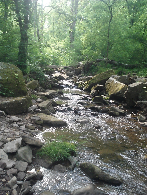 Beautiful creek in Tyler State Park Pennsylvania 