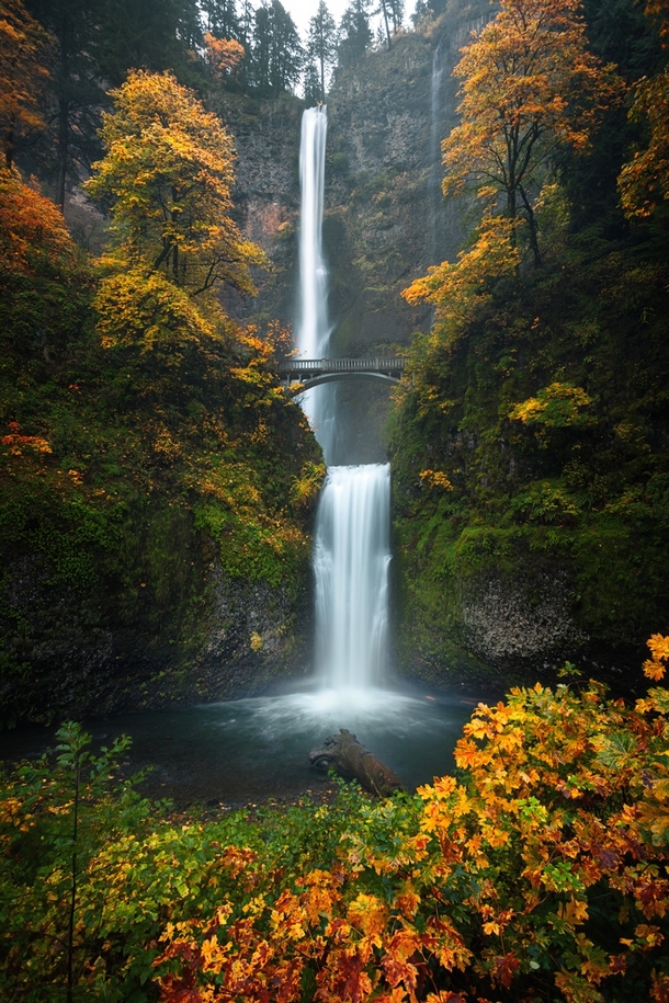 Beautiful fall colors on display at the iconic Multnomah Falls in the