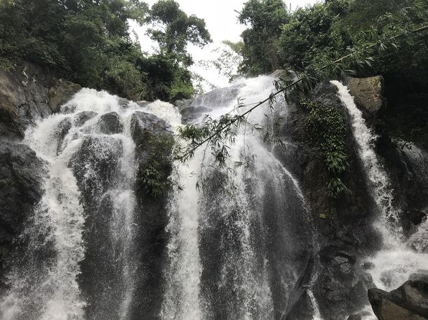 Beautiful falls in Tobago Trinidad and Tobago 