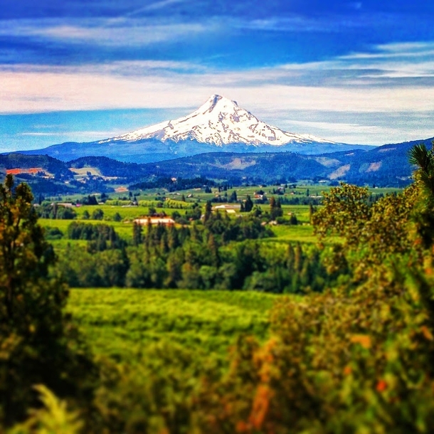 Beautiful Mt Hood Oregon 