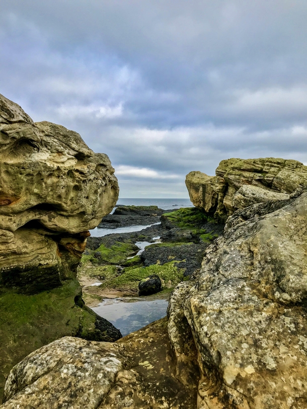 Beautiful rock formations by erosion on the coast of St Andrews in Scotland 