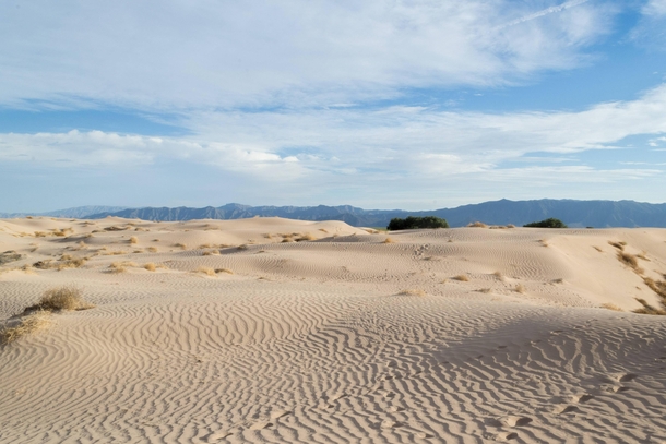 Beautiful Sand Dunes at Dunas de Bilbao Mexico OC