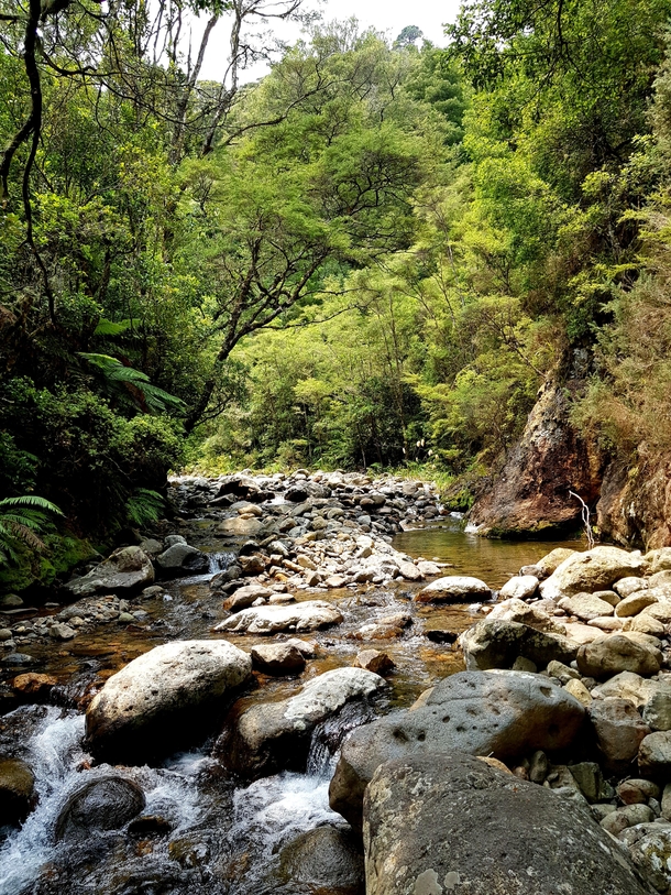 Beautiful Stream at Waiorongomai Valley New Zealand 