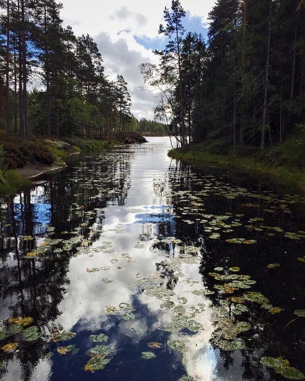 Beautiful Tresticklan National Park in Sweden 