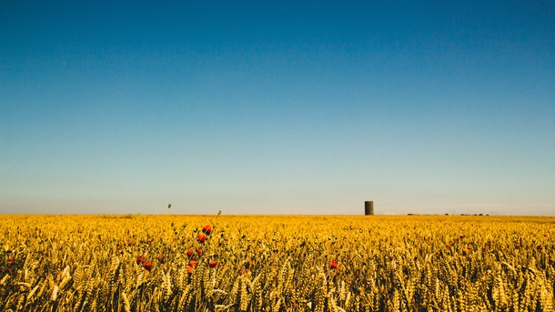 Beautiful wheat fields near Stonehenge 