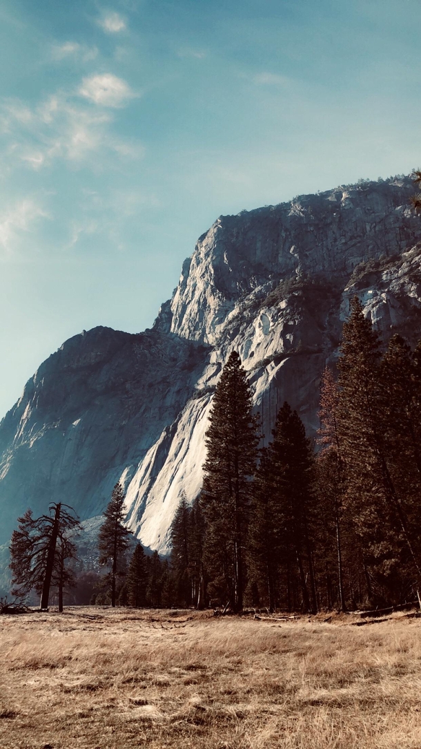 Beautiful Yosemite National Park 