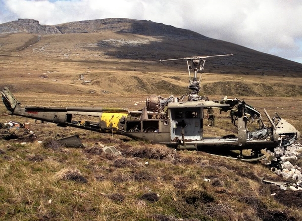 Bell  at Mt Usbourne Falkland Islands Photo Ian Howat 
