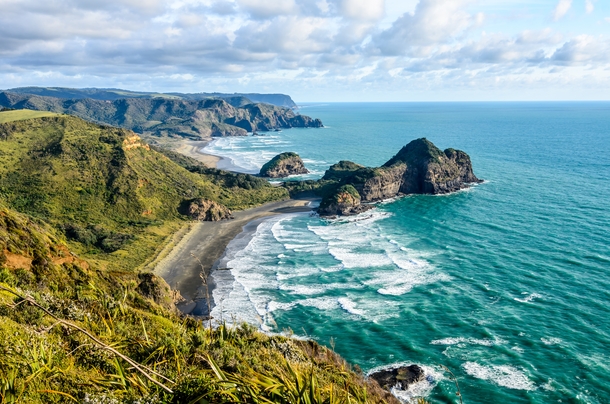 Новая Зеландия море природа побережье скачать