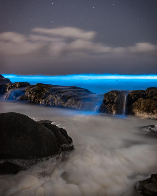 Bioluminescence in La Jolla San Diego California 