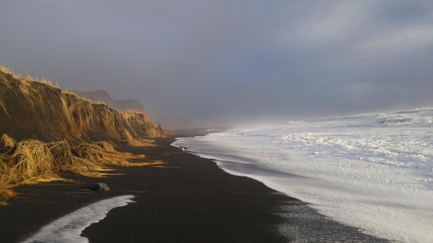 Black sand beach of Vic Iceland in winter 