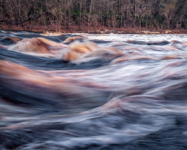 Black-water rapids on the Suwannee at Big Shoals State Park Florida 