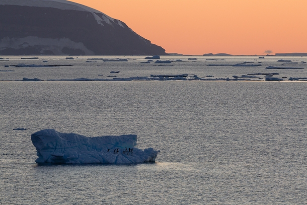 Blue ice in the golden hour  approaching midnight Antarctic Peninsula edge of Weddell Sea in foreground