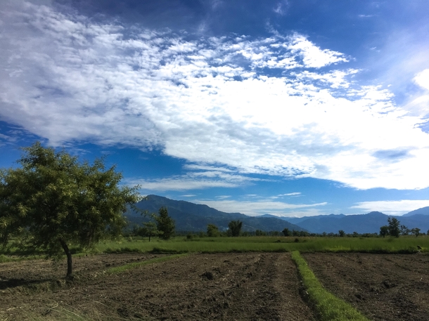 Blue sky with green plants village  nepal -