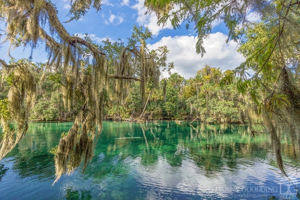 Blue Springs State Park in central Florida 