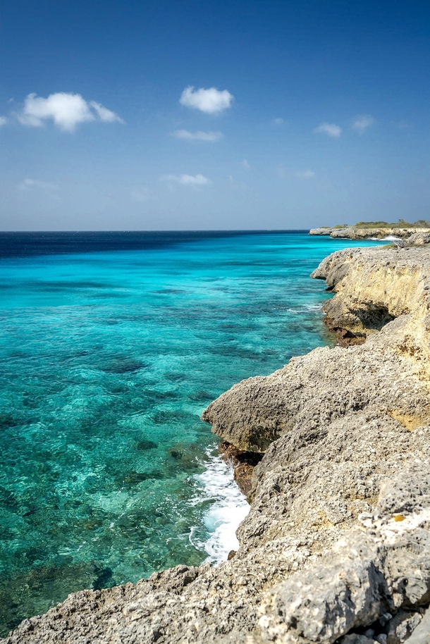 Blues of the Bonaire marine park  x