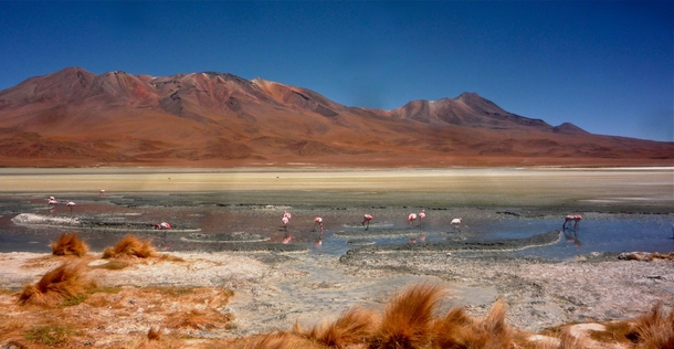 Bolivian altiplano 