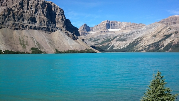 Bow lake Banff Alberta   X 