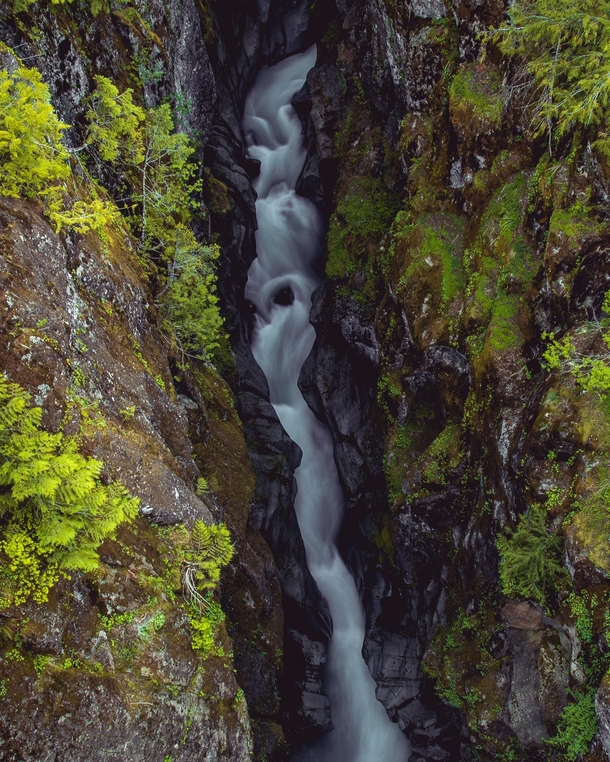 Box Canyon of the Cowlitz Mt Rainier National Park 