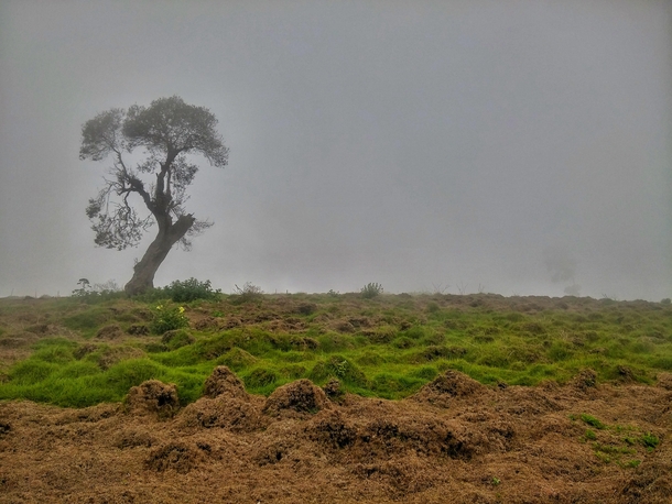 Braving The Fog Narok Kenya 