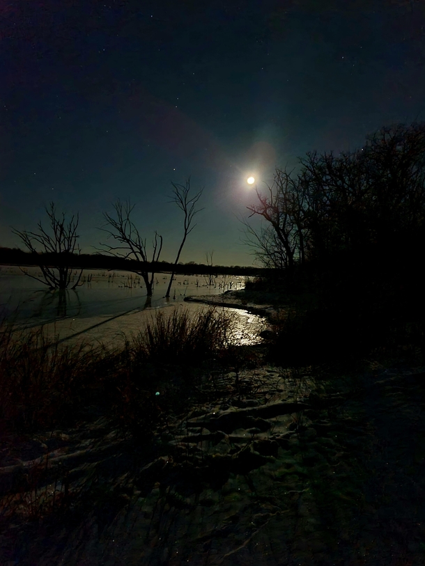 Bright winter night in Iowa
