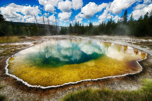 Brilliant Thermal Pool in Yellowstone  by David Soldano