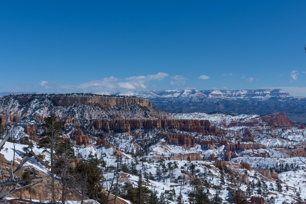 Bryce Canyon after snow March  