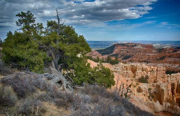 Bryce Canyon National Park Utah 