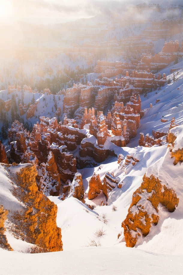 Bryce Canyon the morning after some heavy snow 