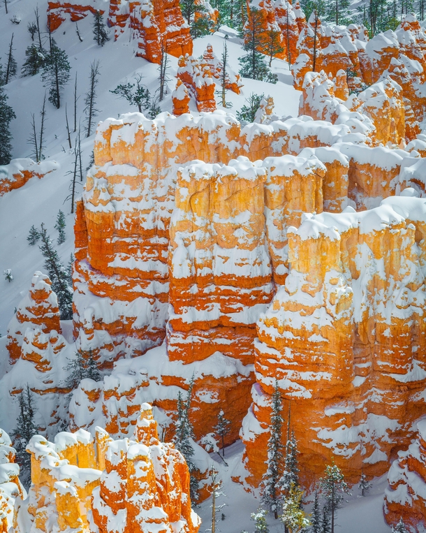 Bryce Canyon Utah  x