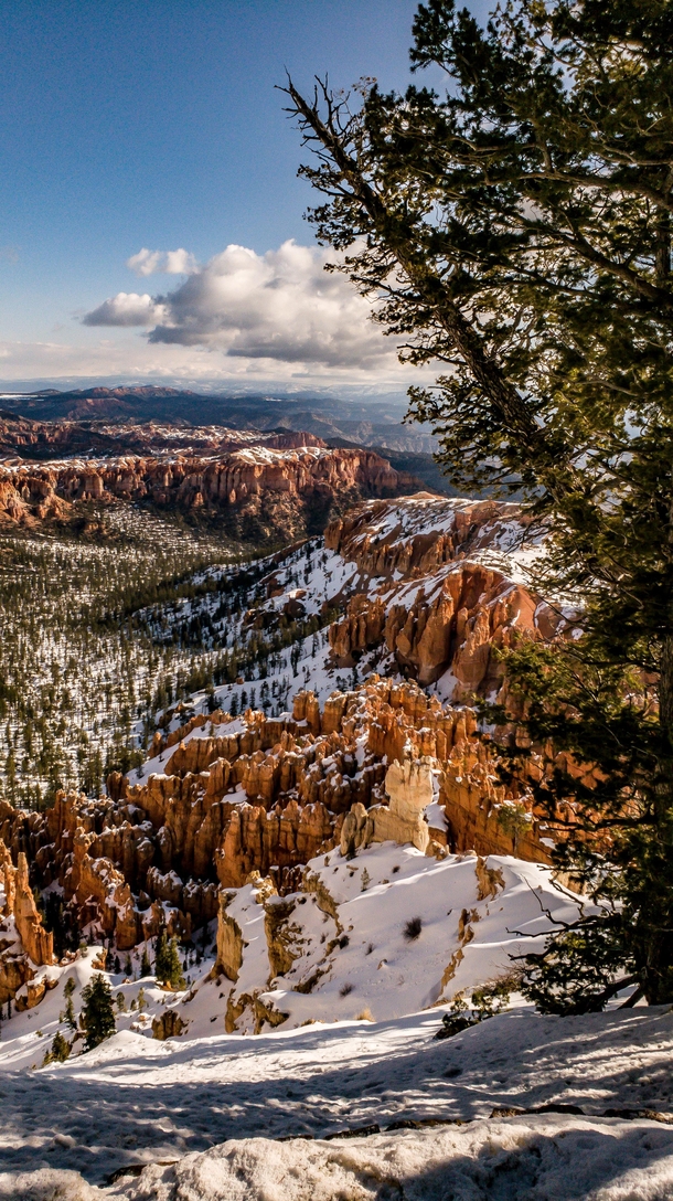 Brycen Canyon from an overlook in spring 