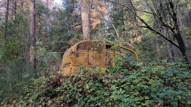 Bulldozer left in the woods 
