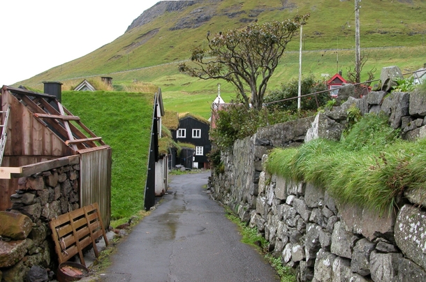 Bur Faroe Islands 
