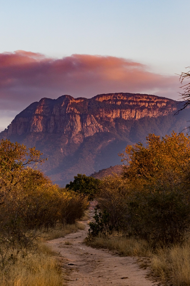 Bush trail Moditlo Game Reserve Limpopo South Africa 