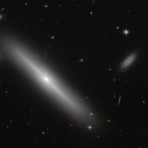 Busy bees - edge-on lenticular galaxy NGC  
