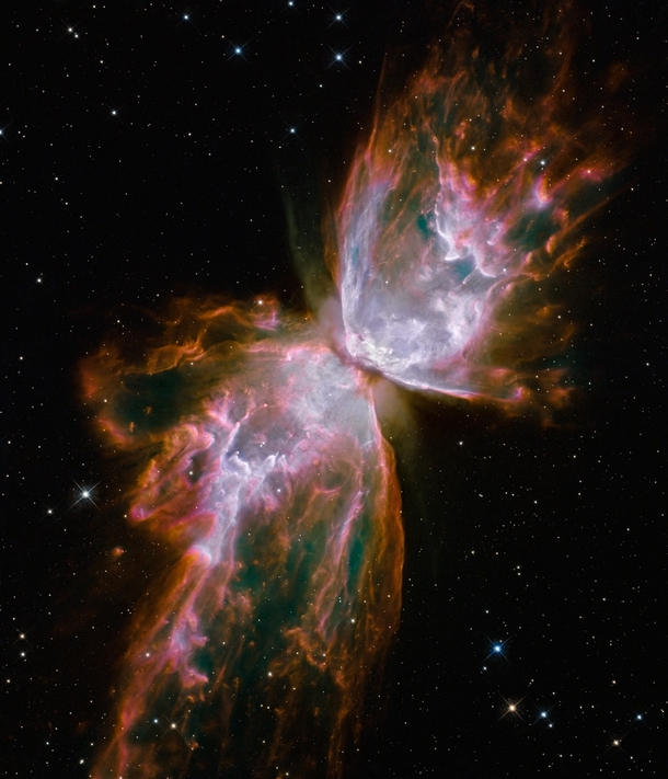 Butterfly Emerges from Stellar Demise in Planetary Nebula NGC  taken by NASA Hubble x