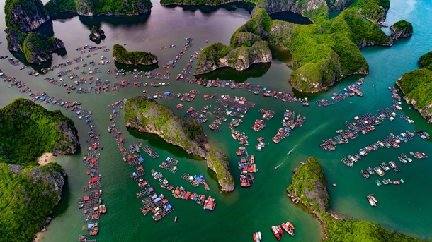 Cai Beo floating village Vietnam 