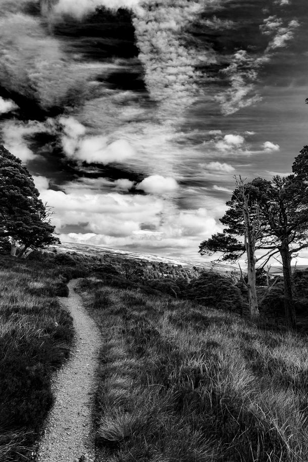 Cairngorms National Park Scotland 