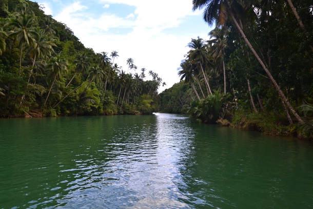 Calm River in the middle of Cebu Jungle Philippines 