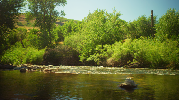 Calming River in Utah 