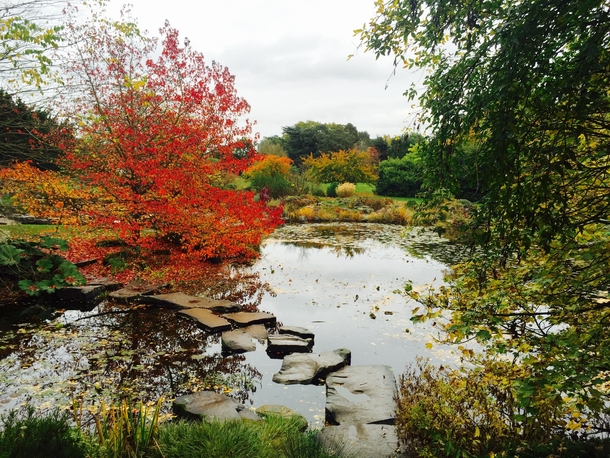 Cambridge UK Botanic Gardens in autumn iPhone 