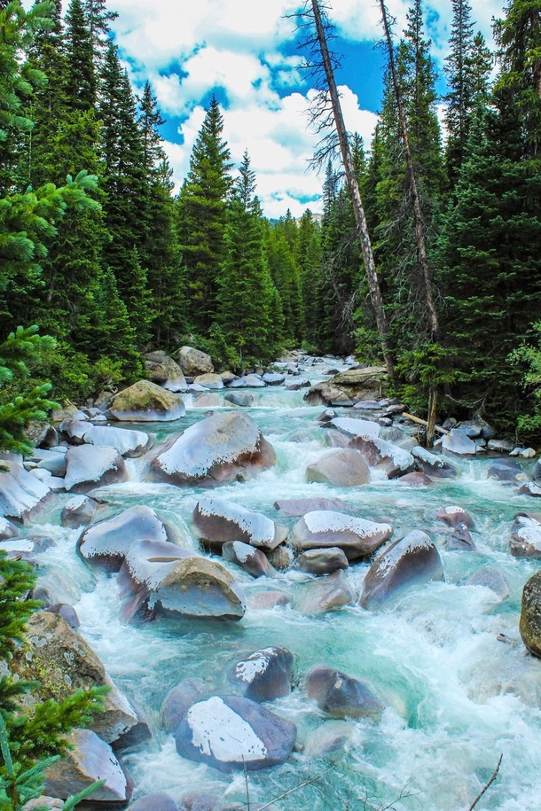 Came across this mountainside river - was driving a scenic route in Colorado and heard the rushing waters It was incredible 