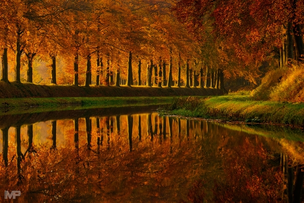 Can you believe this is not a painting Autumn in the Netherlands 