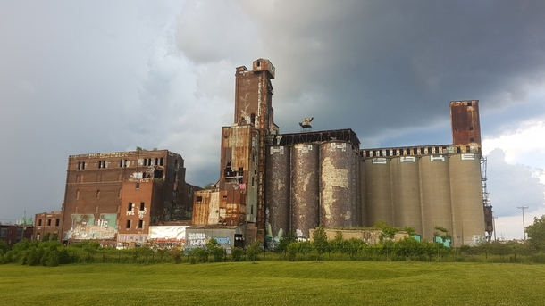 Canada Malting Silos Montral QC - abandoned in  