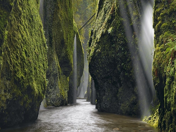 Canyon Gorge Oregon photo by Peter Lik 