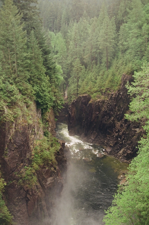 Capilano Canyon by Marty Mellway 
