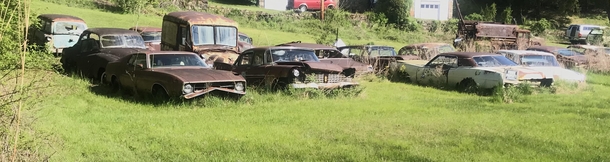 Car graveyard on a front lawn