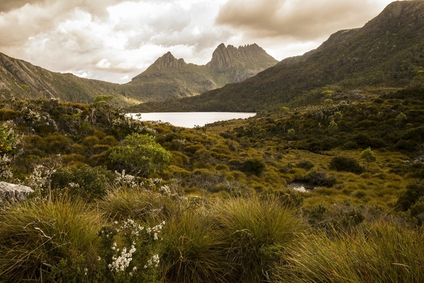 Catching the last bit of golden hour at Cradle Mountain in Tasmania 