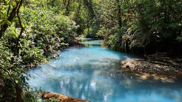 Celeste River in Tenorio Volcano National Park Costa Rica 