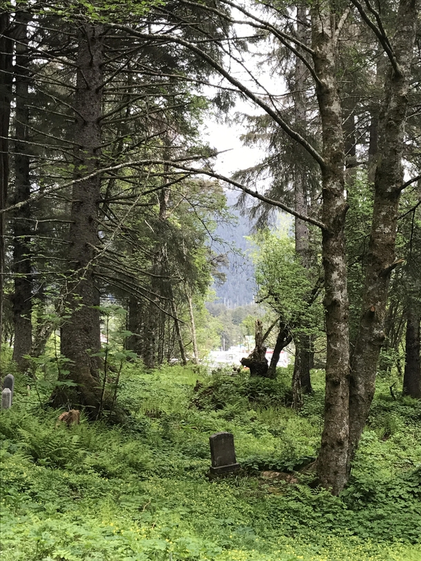 Cemetary in Sitka AK some headstones date back to s when Alaska part of Russia rilene x