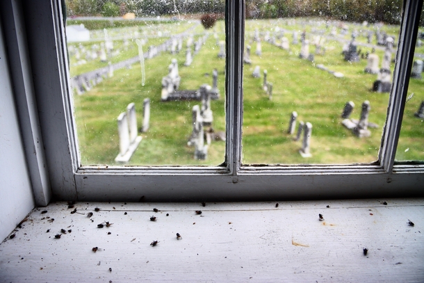 Cemetery Window